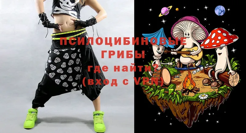 Галлюциногенные грибы Magic Shrooms  Рубцовск 